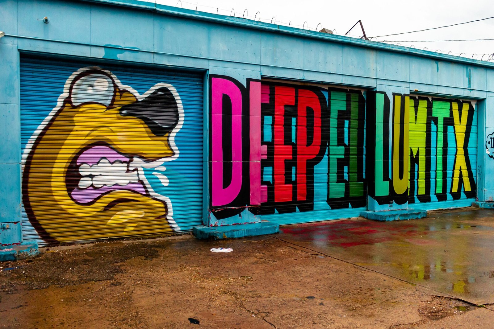 Check out the murals in the Deep Ellum neighborhood for vibrant street art