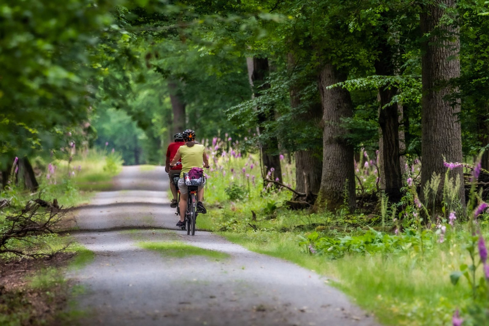 Take a bike ride along the scenic Cape Charles Bike Trail.