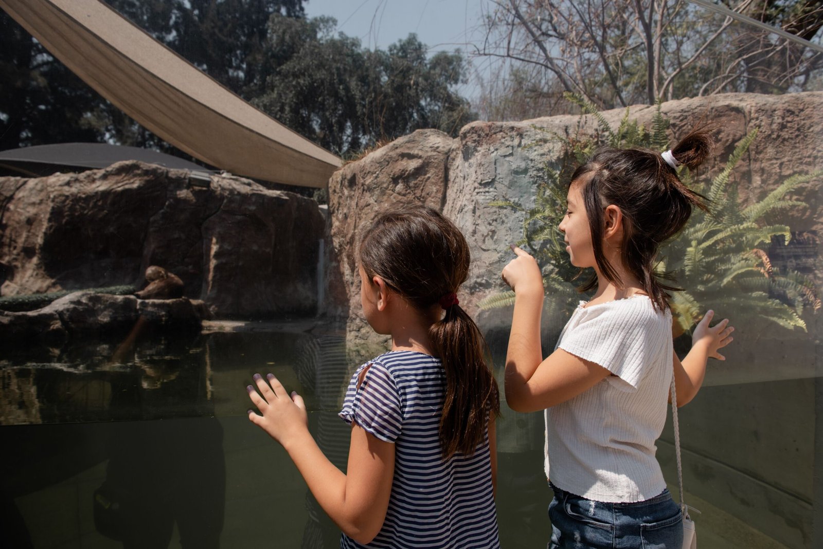 Enjoy a day at Reid Park Zoo with family and friends.