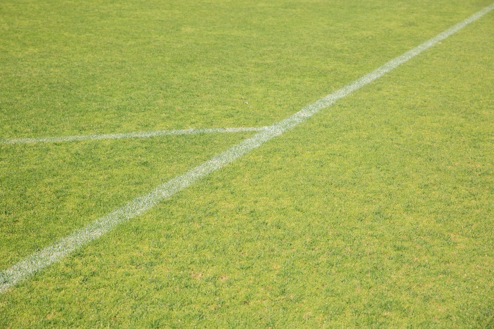 Have a blast at the Joplin Sports Complex with various athletic fields.