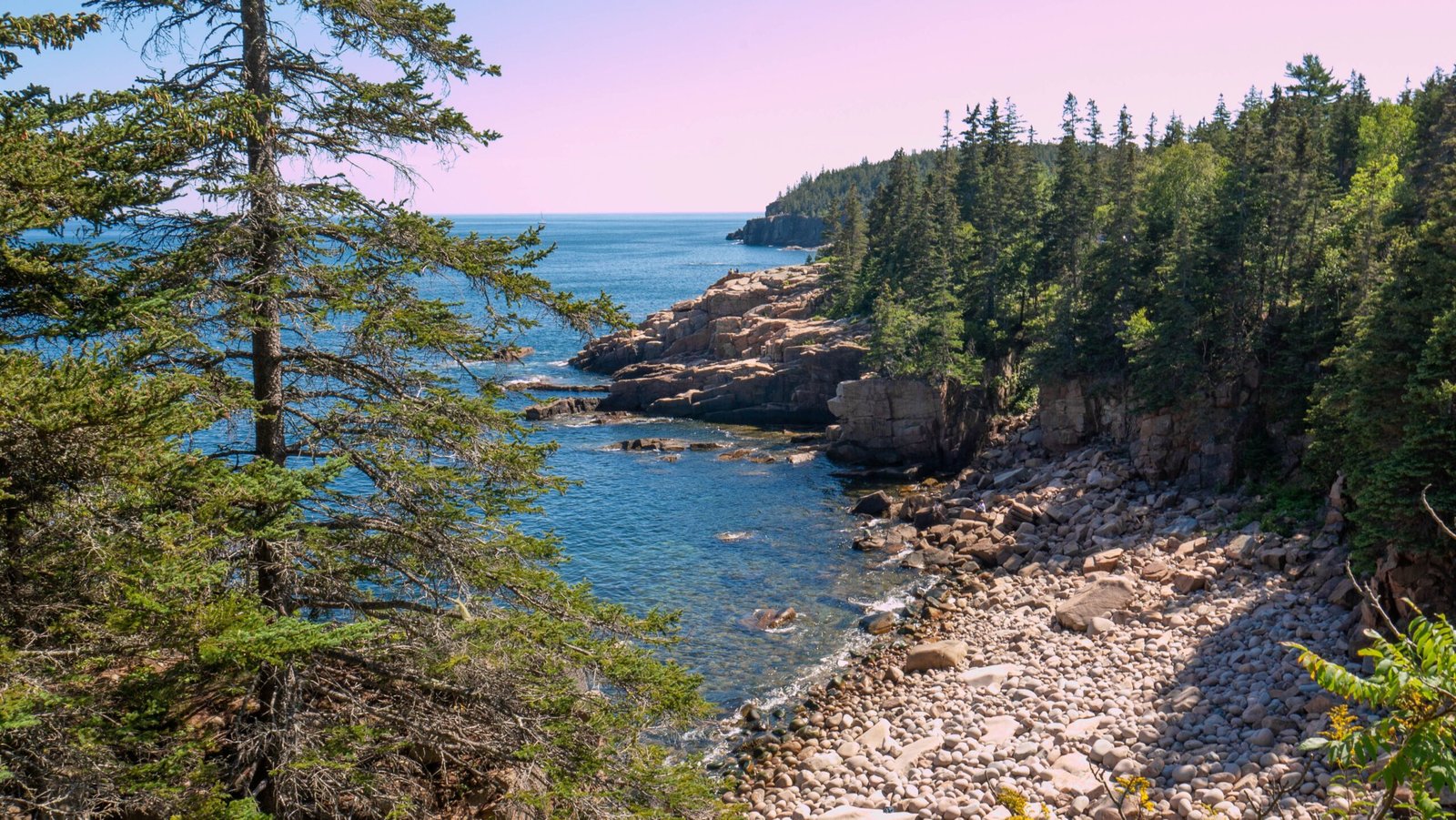 Explore the Coastal Maine Botanical Gardens