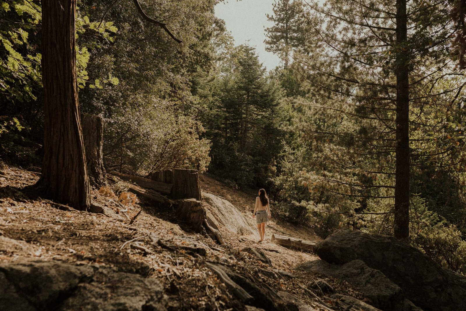 Sure! Here are 25 top things to do in Idyllwild: