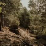 things to do in idyllwild