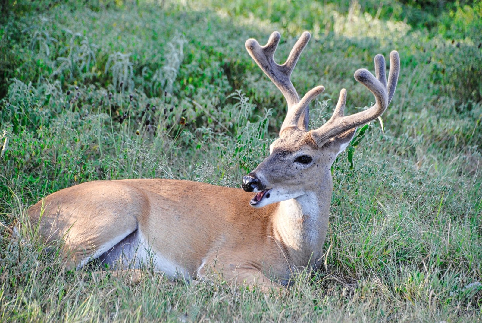 Relax at the beautiful Elk Neck State Park with its diverse wildlife.