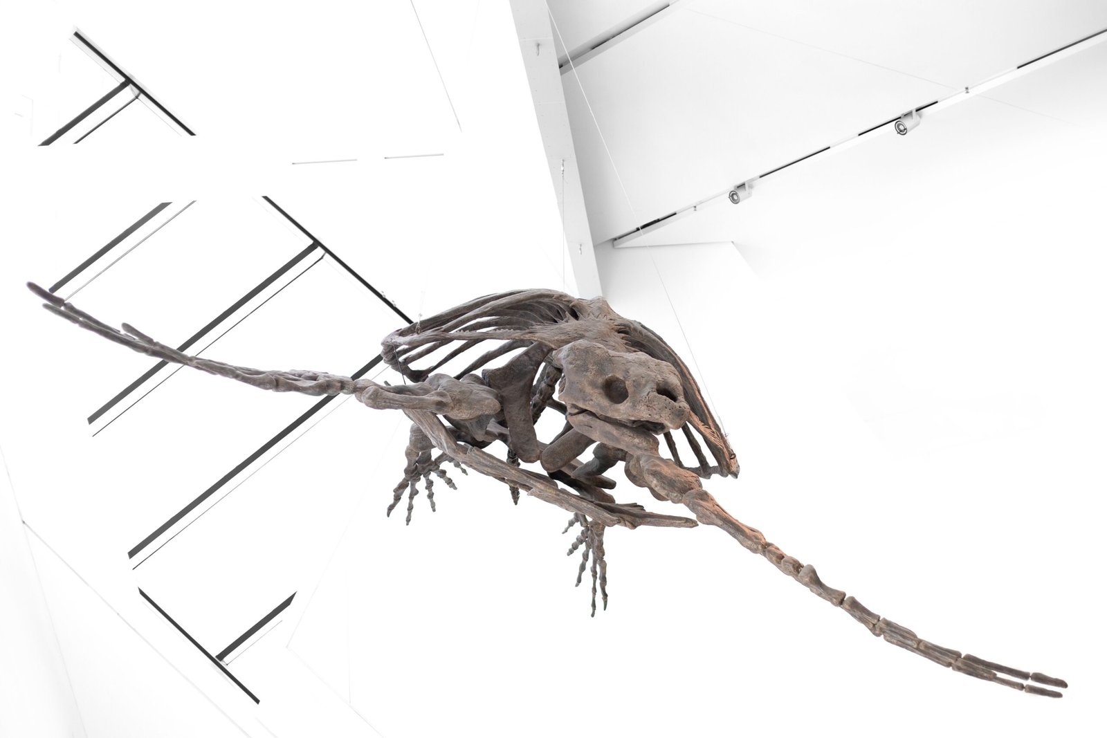 Visit the Museum of the North for a glimpse into Alaska's natural and cultural history.