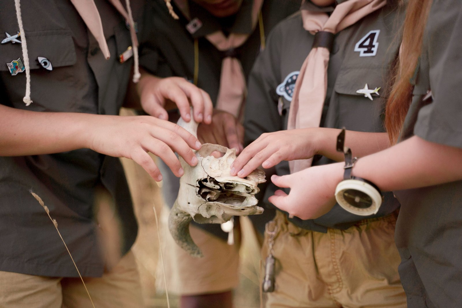 Experience hands-on learning at the Discovery Place Nature.