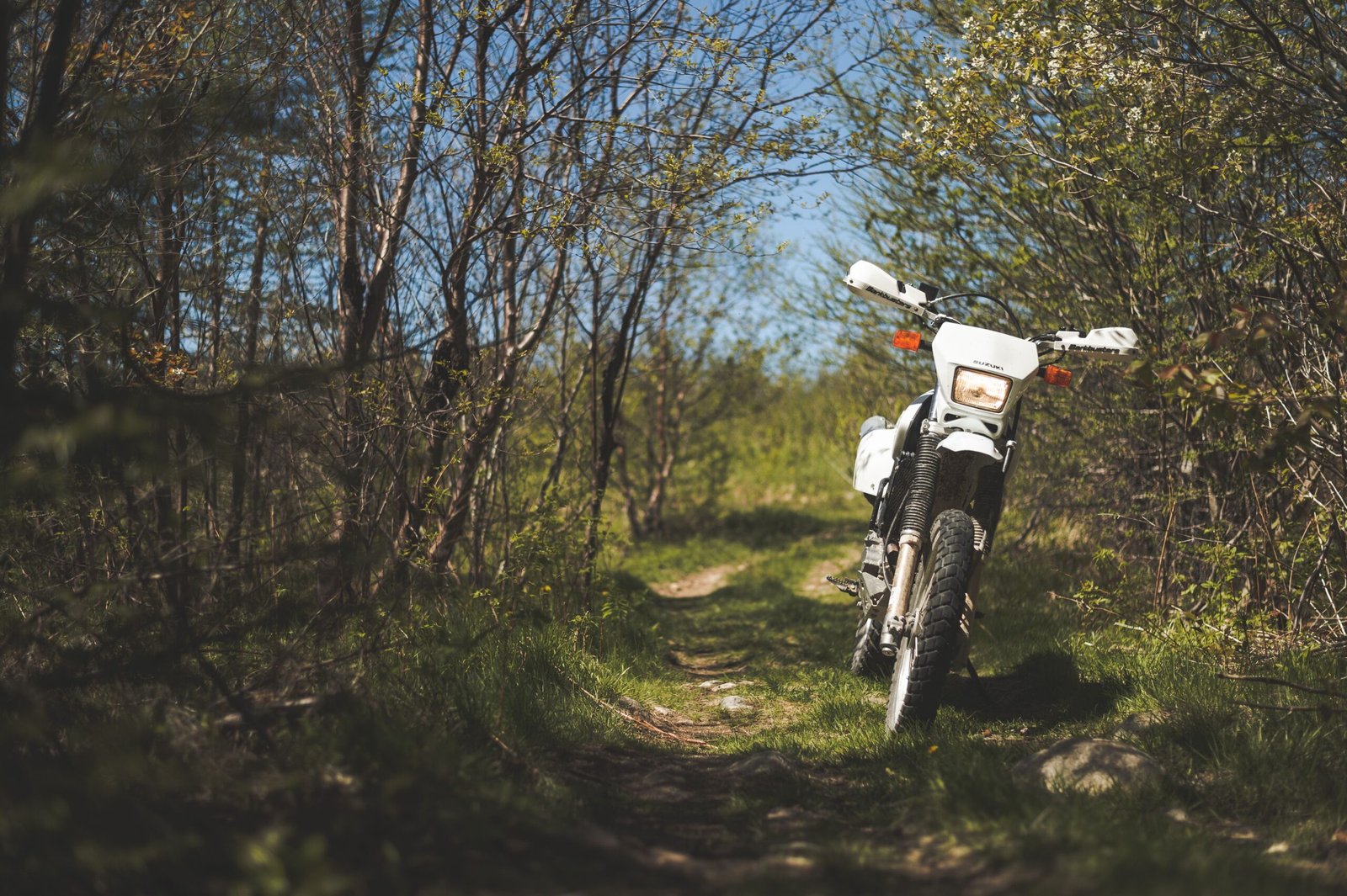 Go horseback riding at the popular Croom Motorcycle Area and enjoy its trails.