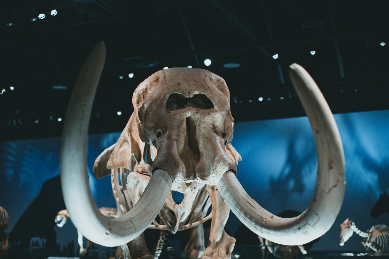Visit the High Desert Museum to learn about the region's history and wildlife.