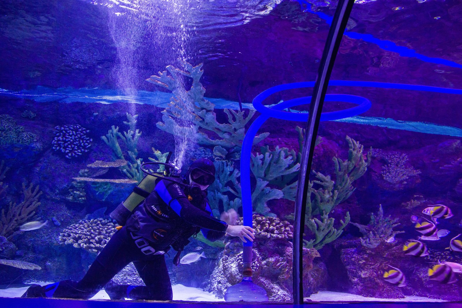 Dive into the underwater world at the Bahrain National Aquarium.