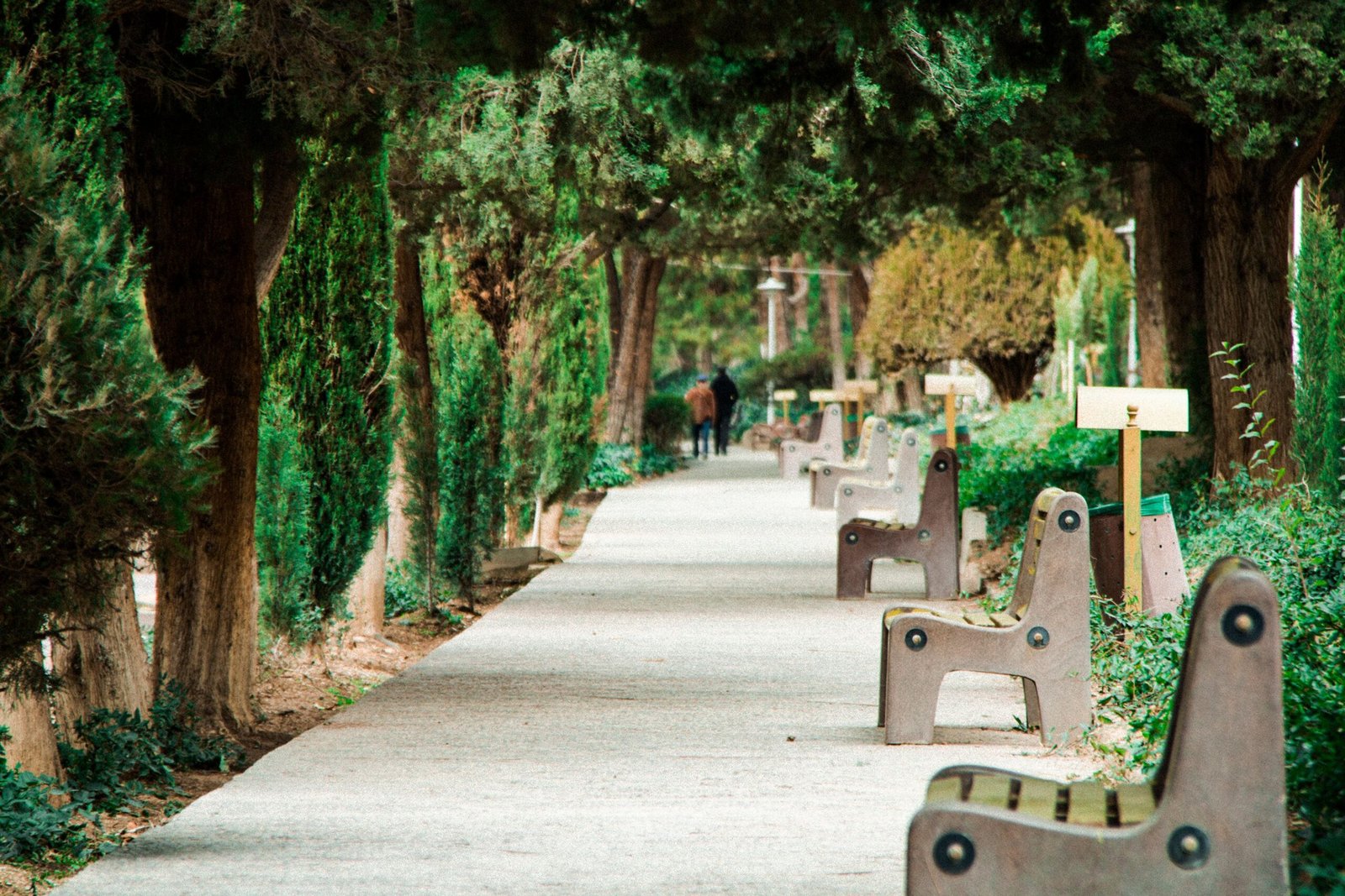 Stroll through the beautiful King Saud Park